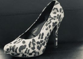 Secretary - der Drache hat Zähne!